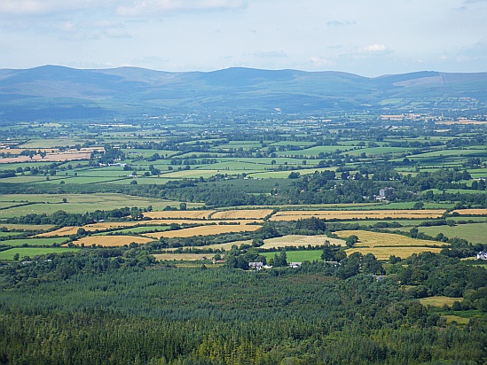 Rural Landscape in Ireland - Public Domain.jpg